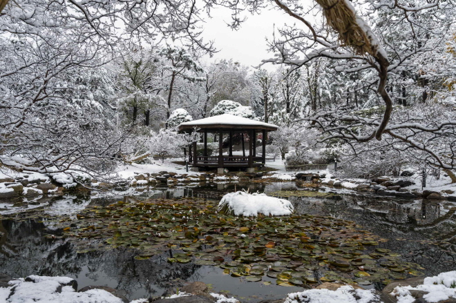 겨울 연못