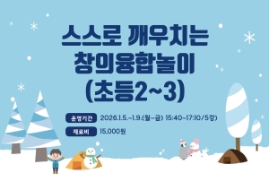 스스로 깨우치는 창의융합놀이(초등2~3)