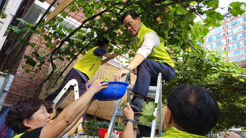 청포도.jpg 이미지