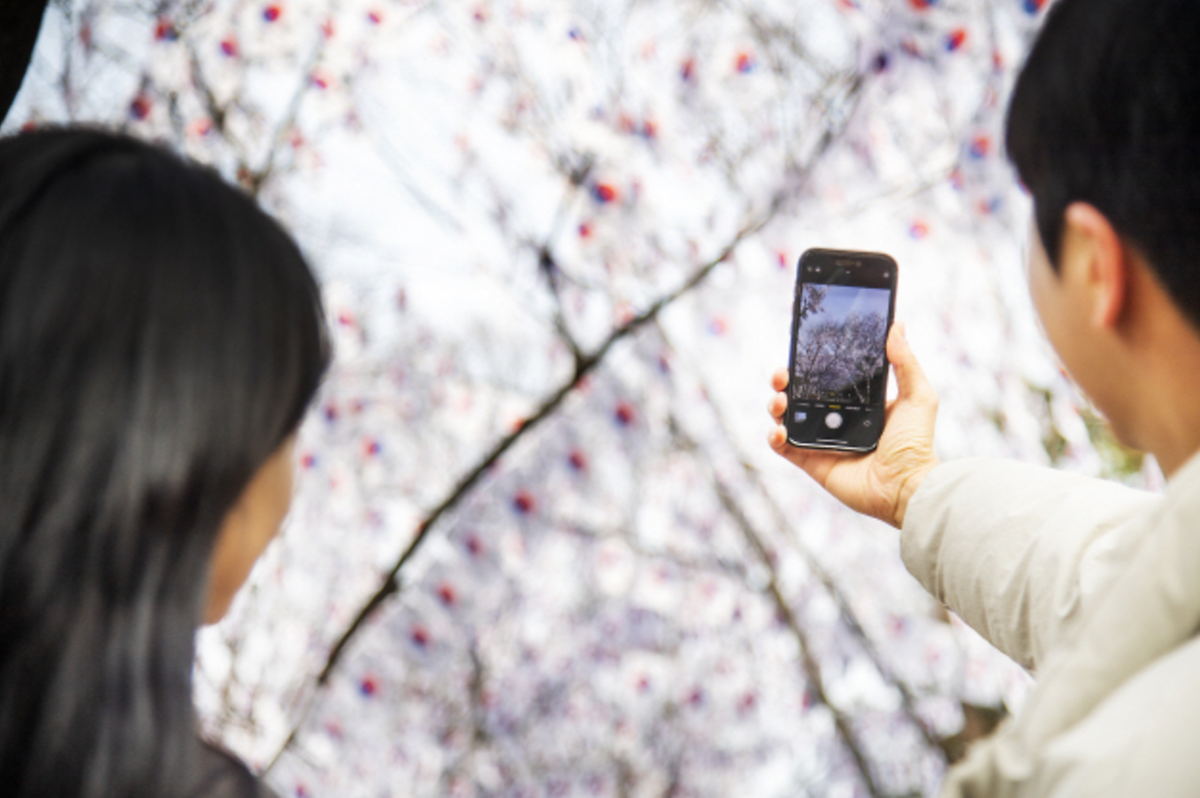 화면_캡처_2025-07-18_150607.png 이미지