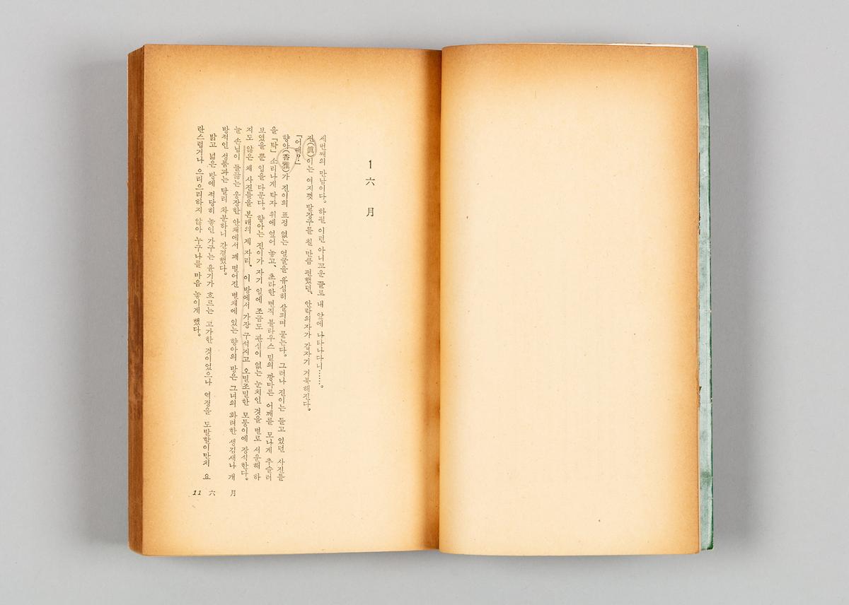 『목마른 계절』 3번째 사진