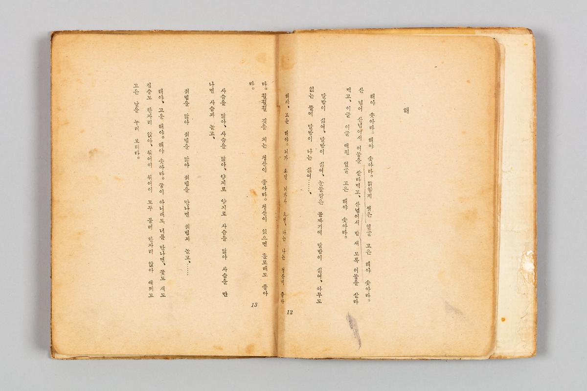 『해』 3번째 사진