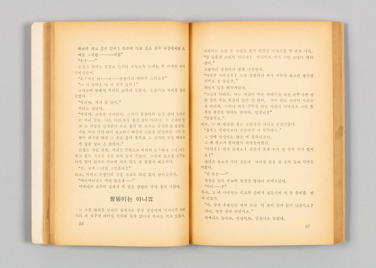 『쌍무지개 뜨는 언덕』 3번째 사진